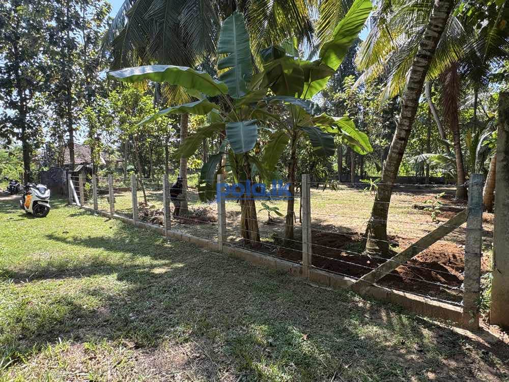Land for sale in marawila - photo 3