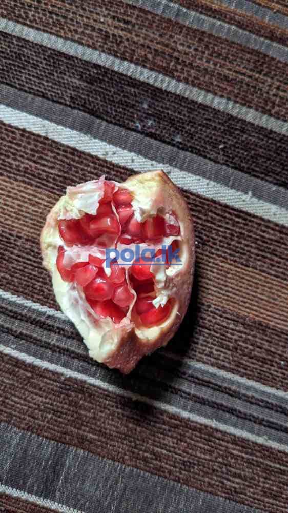 Red pomegranate - photo 4