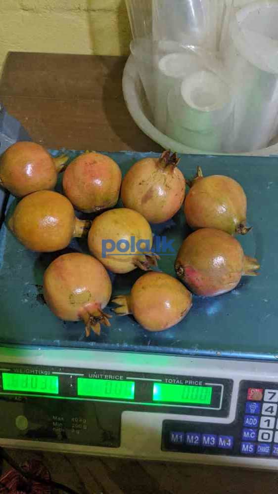 Red pomegranate - photo 2