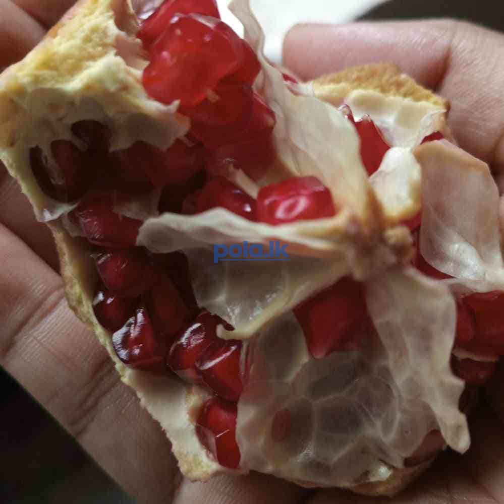 Red pomegranate - photo 3