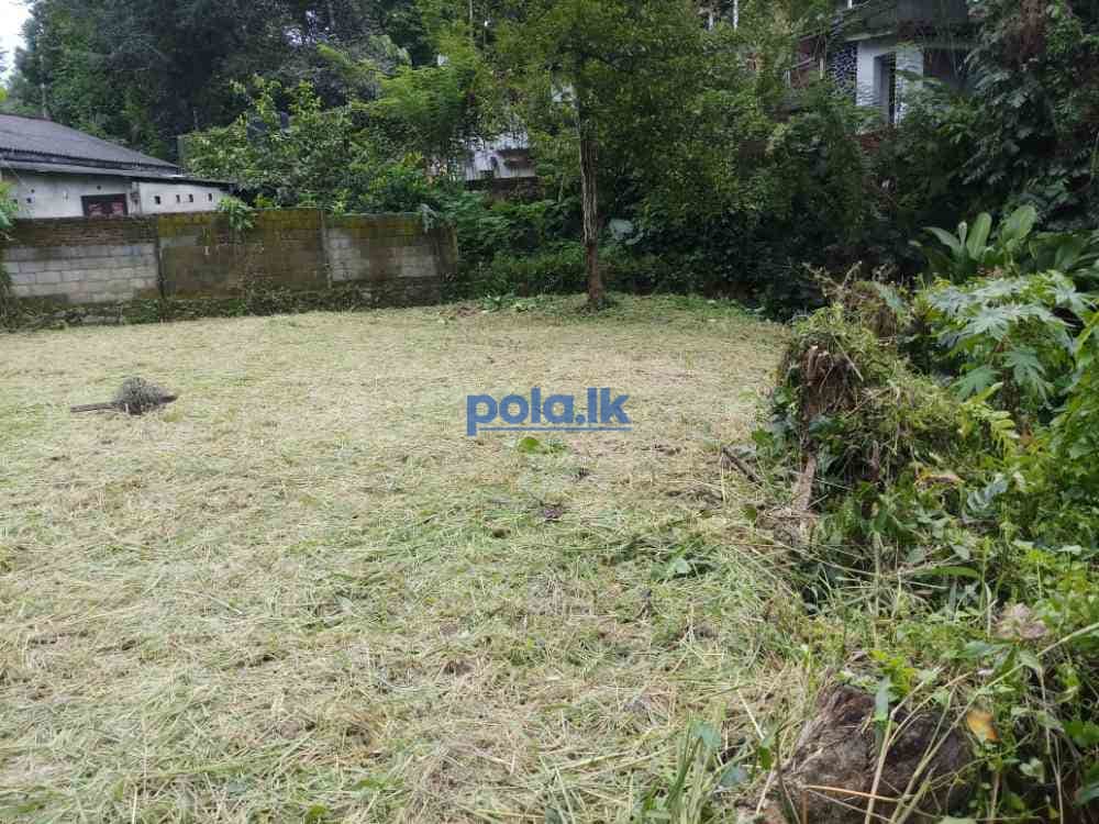 Land for sale in katugasthota - photo 10
