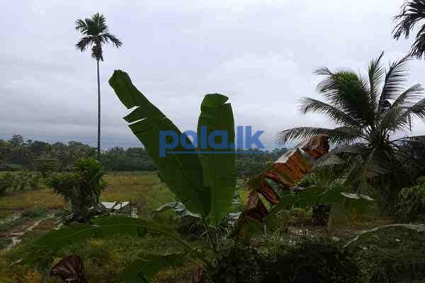 Villa bungalow for sale in wadduwa - photo 3