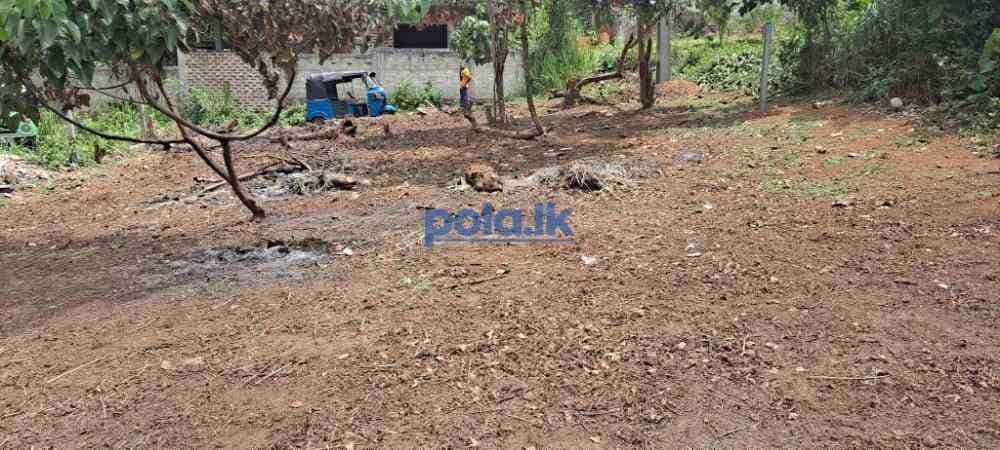 Land for sale in matara - photo 5