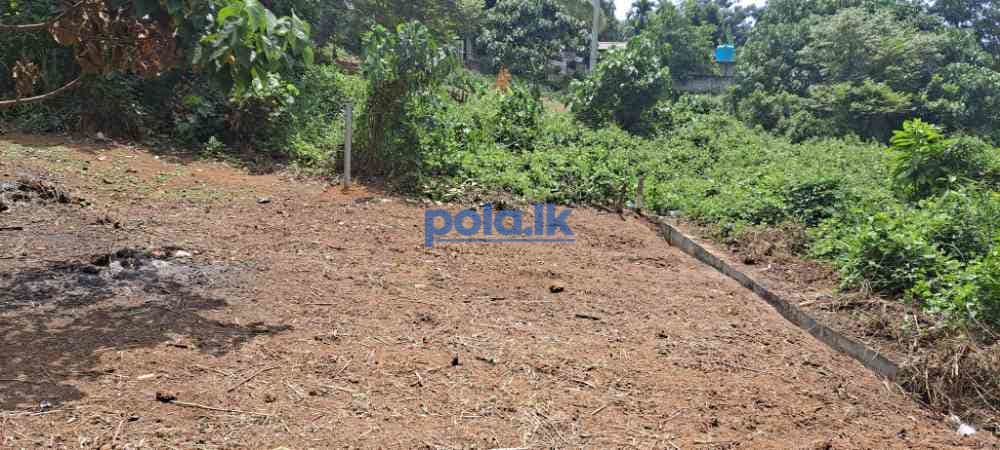 Land for sale in matara - photo 4