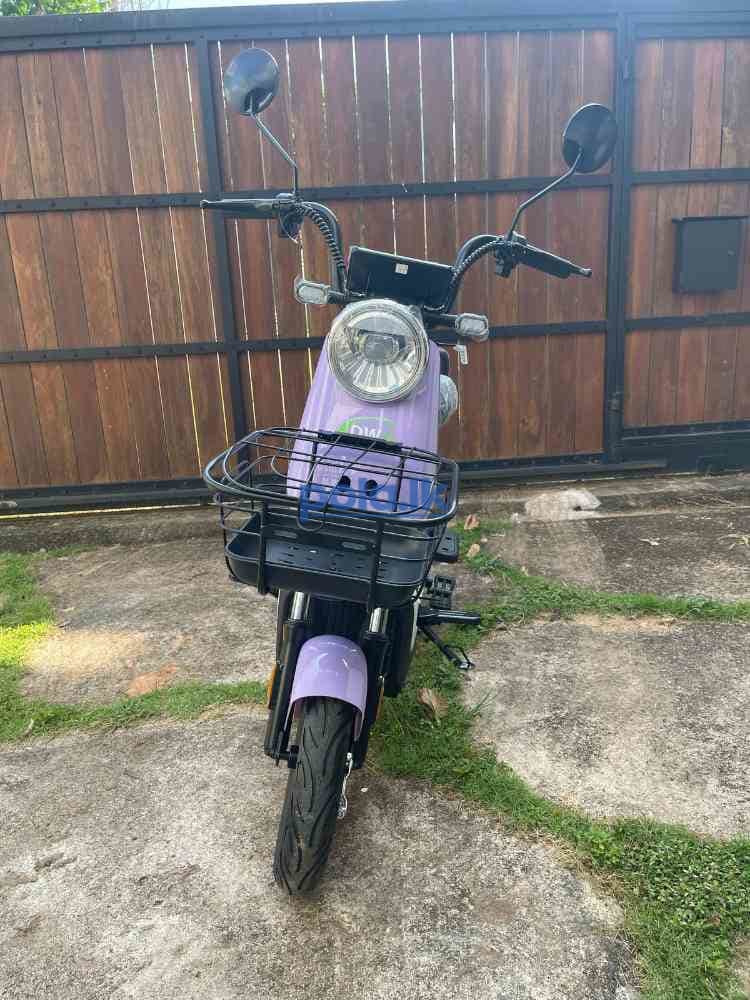 Daywang electric bike - photo 7