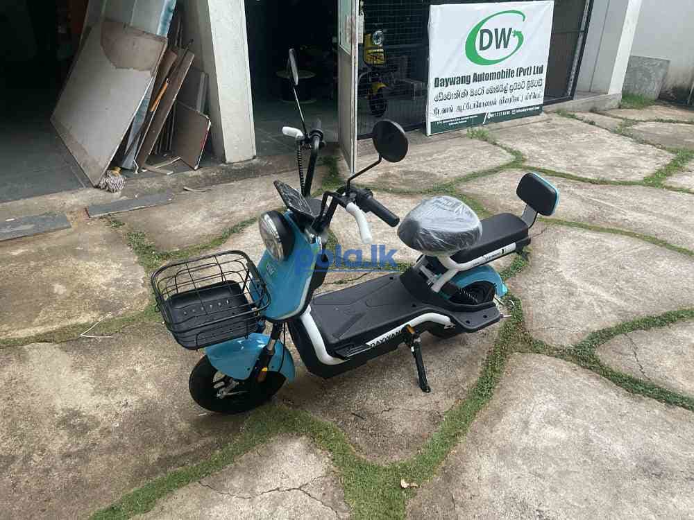 Daywang electric bike - photo 6