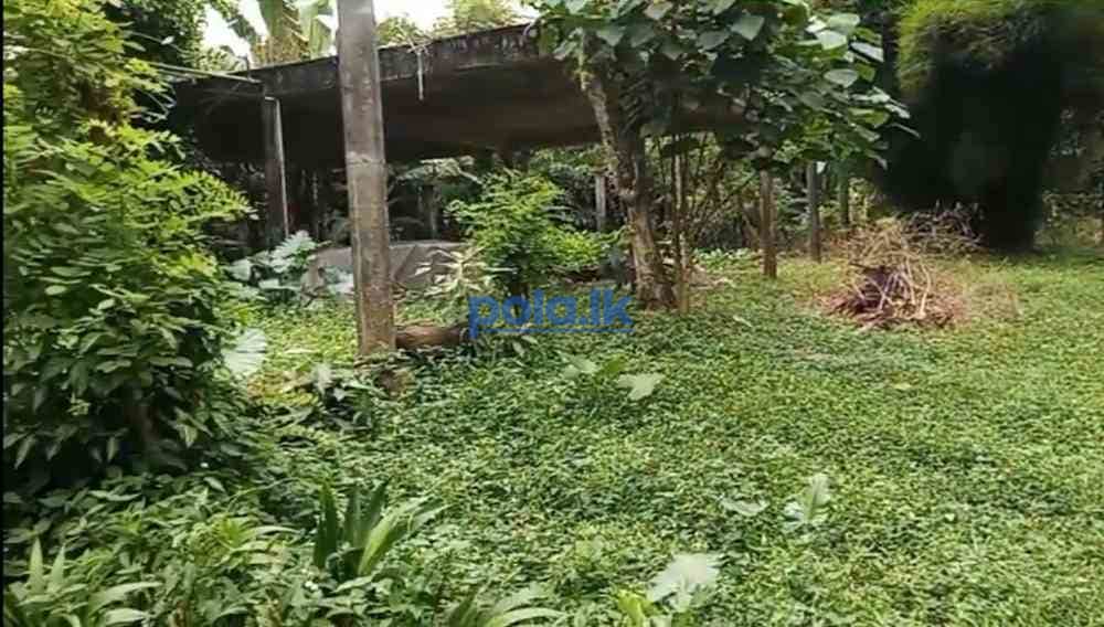 Prime located land for sale in awissawella city - photo 4