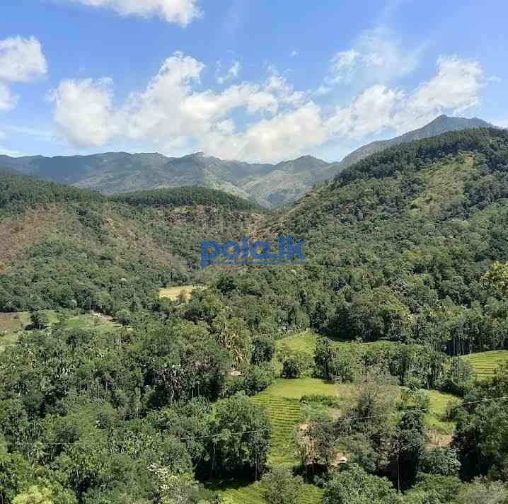Estate for sale haldumulla haputale - photo 3