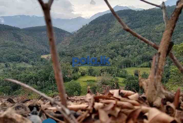 Estate for sale haldumulla haputale - photo 1