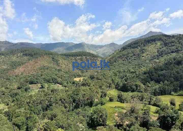 Estate for sale haldumulla haputale - photo 2