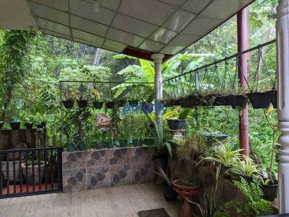 House for sale at gelioya - photo 3