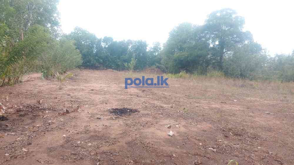 Land for sale in wellawaya handapangoda - photo 2