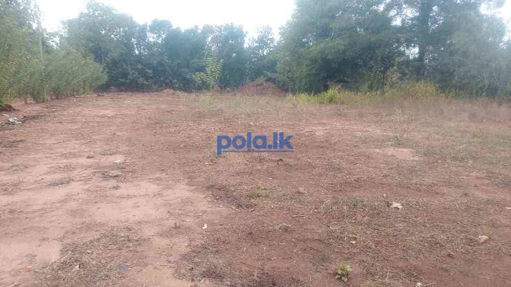 Land for sale in wellawaya handapangoda - photo 1