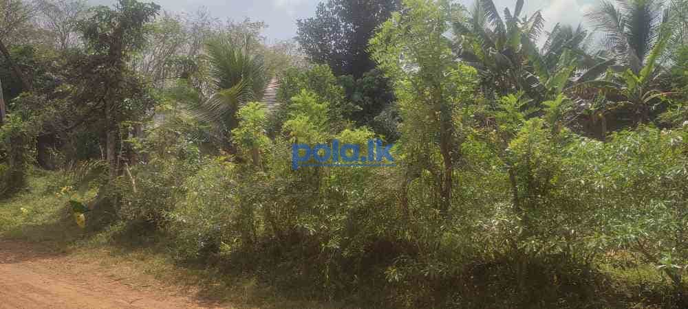 Land for sale in kiriwaththuduwa - photo 7