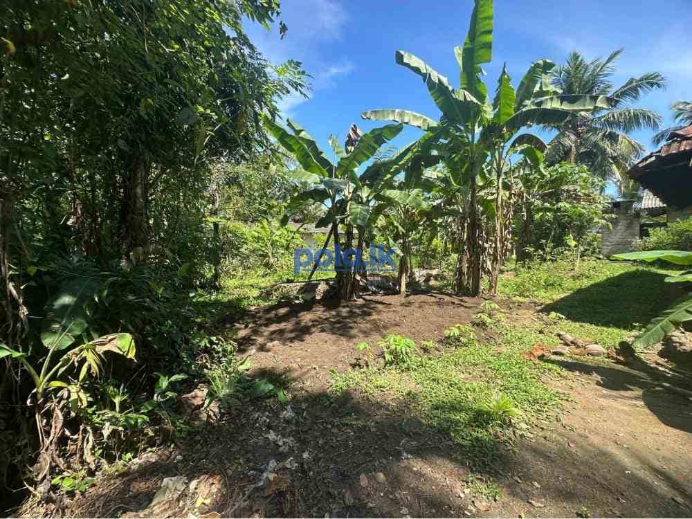 Land for sale in gampaha - photo 1