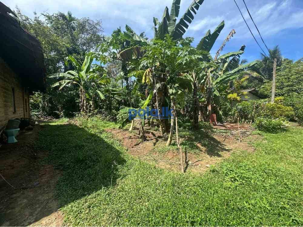 Land for sale in gampaha - photo 3