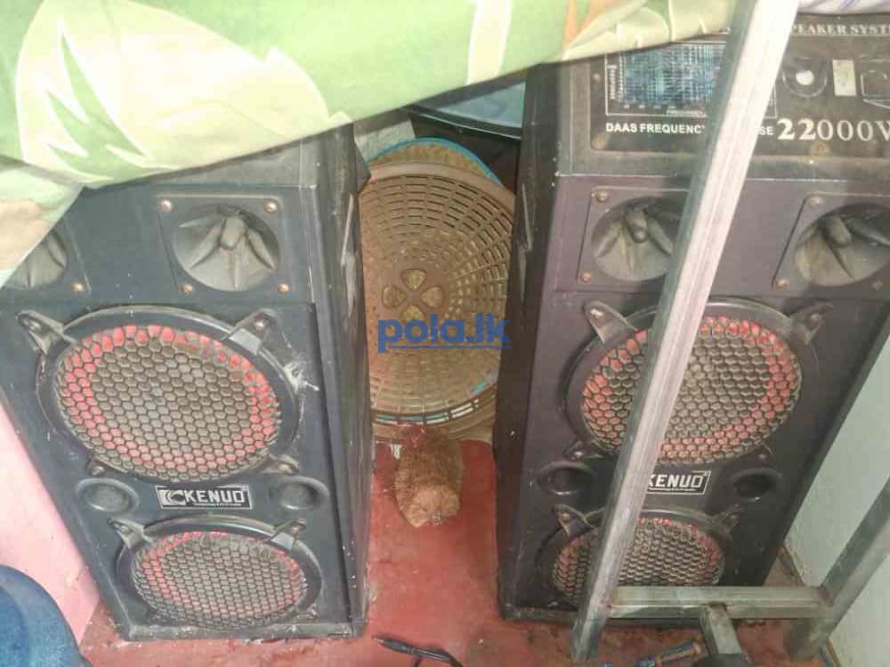 Speaker and sound system - photo 2