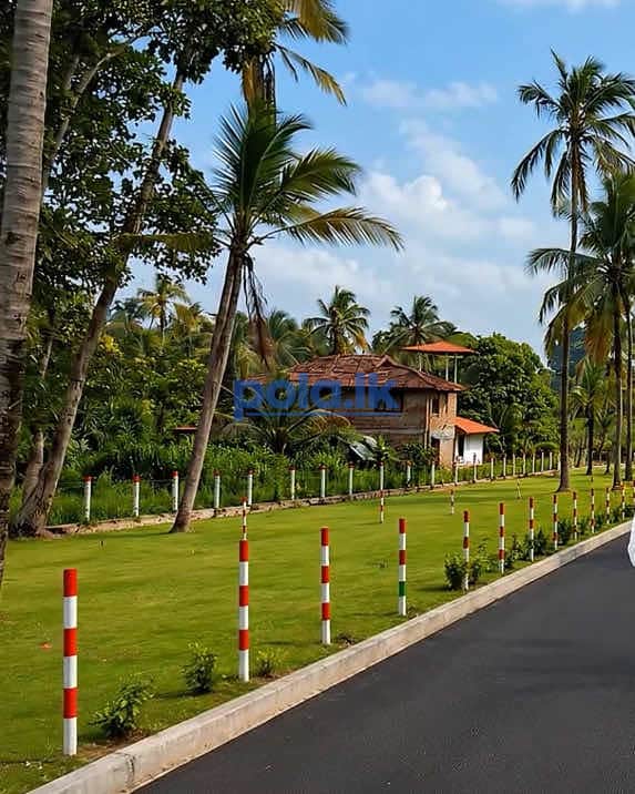 land for sale in lake round kurunegala - photo 4