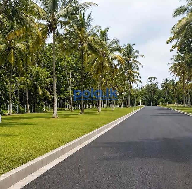 land for sale in lake round kurunegala - photo 2
