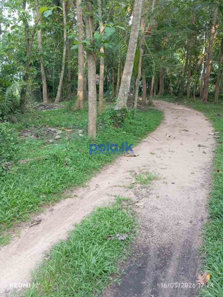Land with house - photo 2