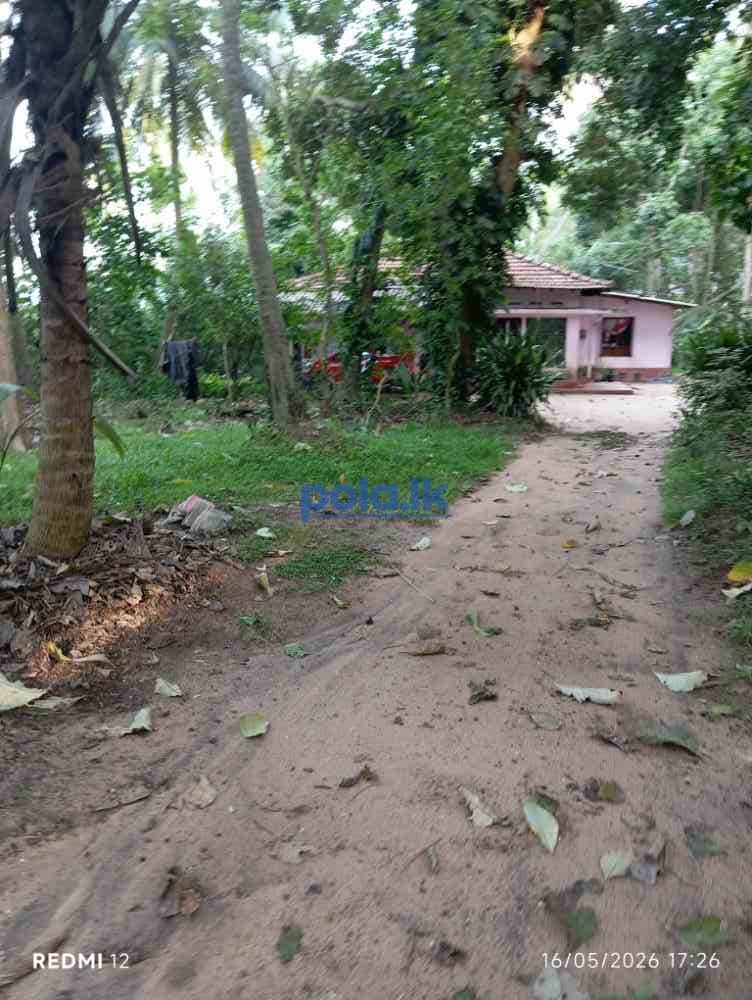 Land with house - photo 4