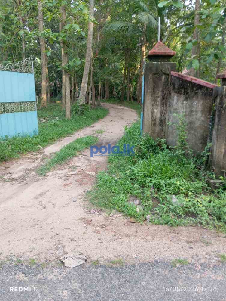 Land with house - photo 1