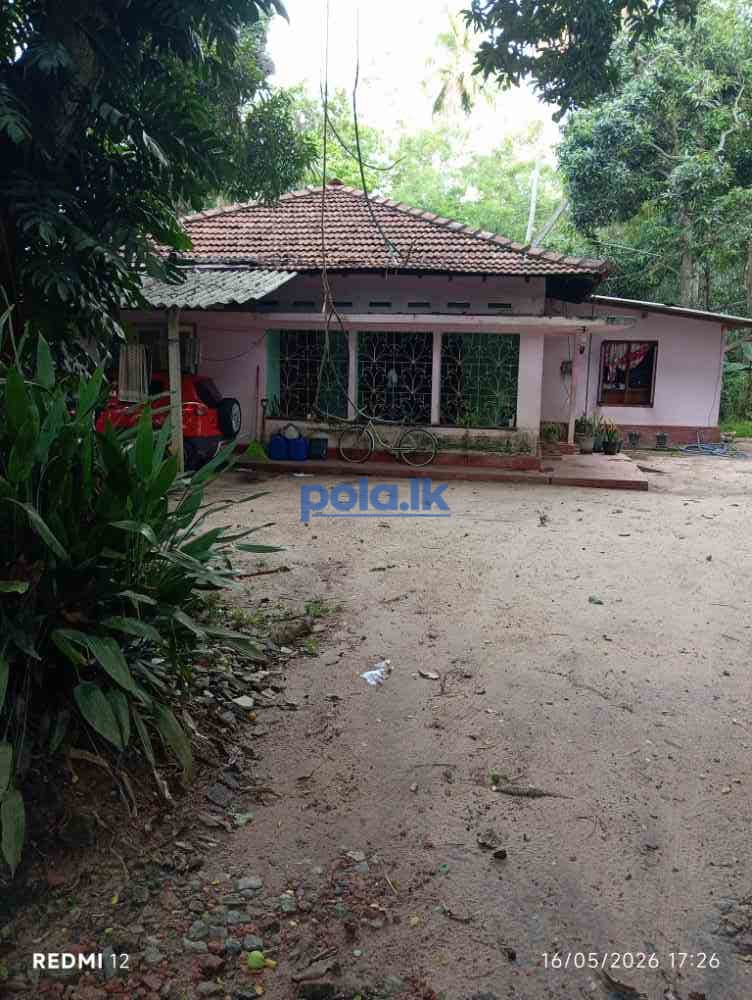 Land with house - photo 5