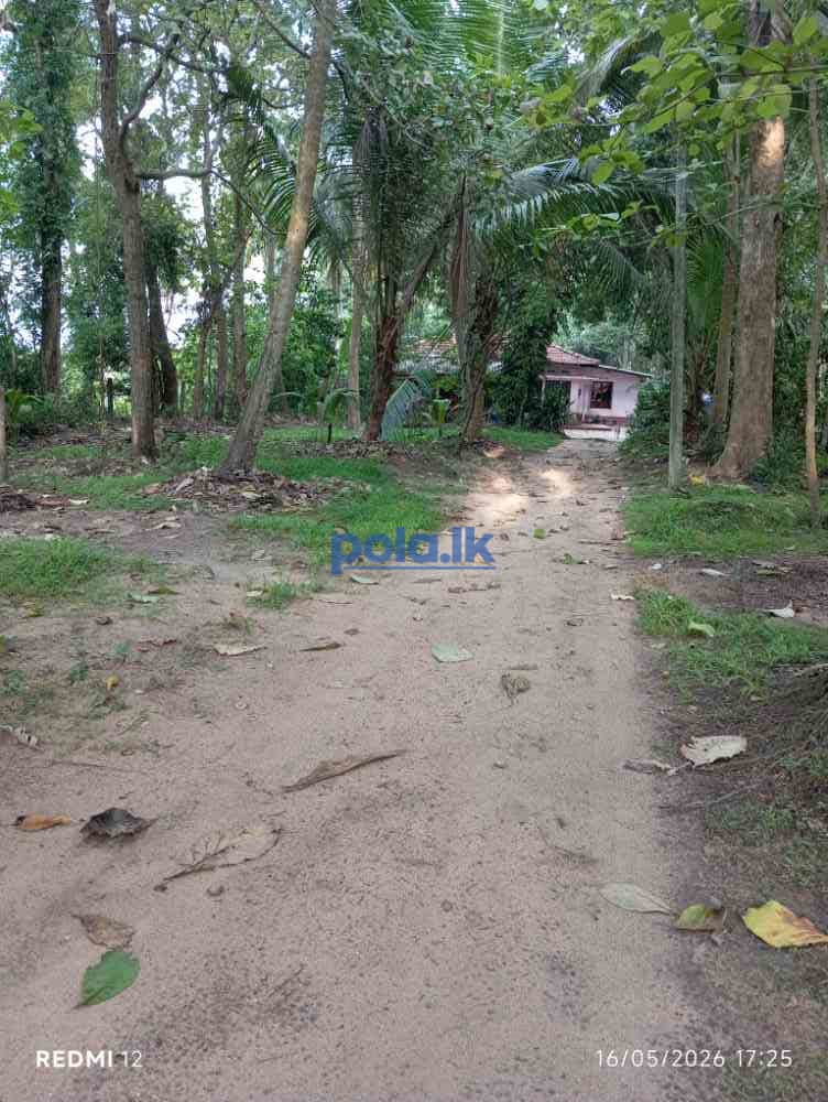 Land with house - photo 3