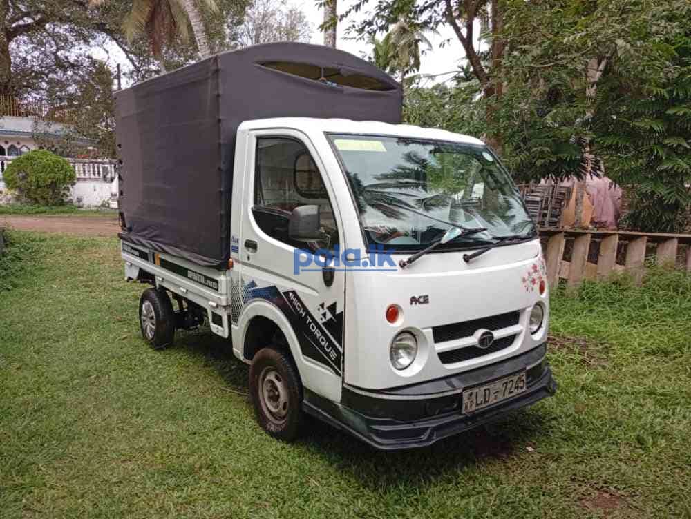 Dimo batta for sale - photo 3