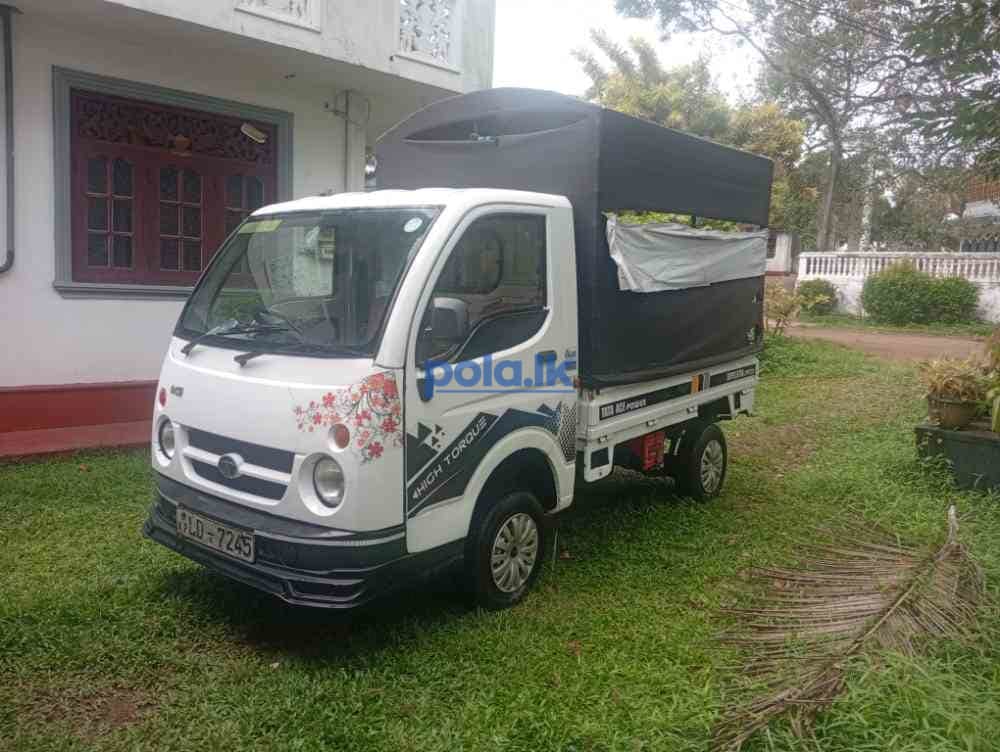 Dimo batta for sale - photo 2