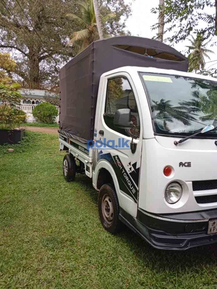 Dimo batta for sale - photo 1