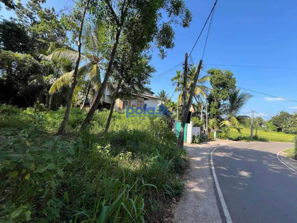 Land for sale in ganemulla - photo 1