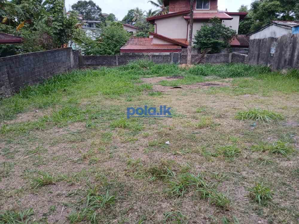 Land for sale in pannipitiya - photo 1