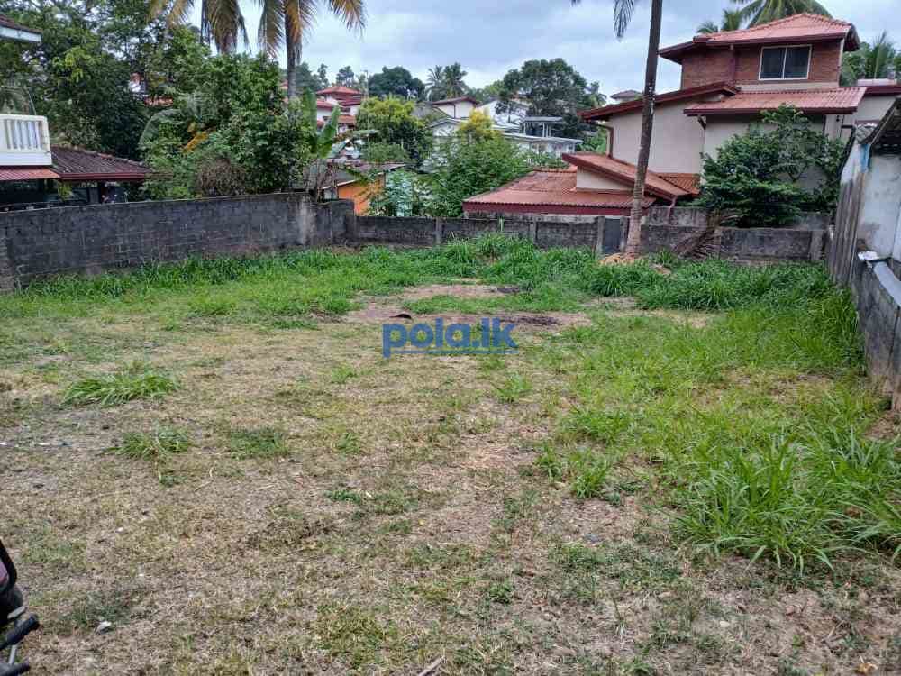 Land for sale in pannipitiya - photo 2