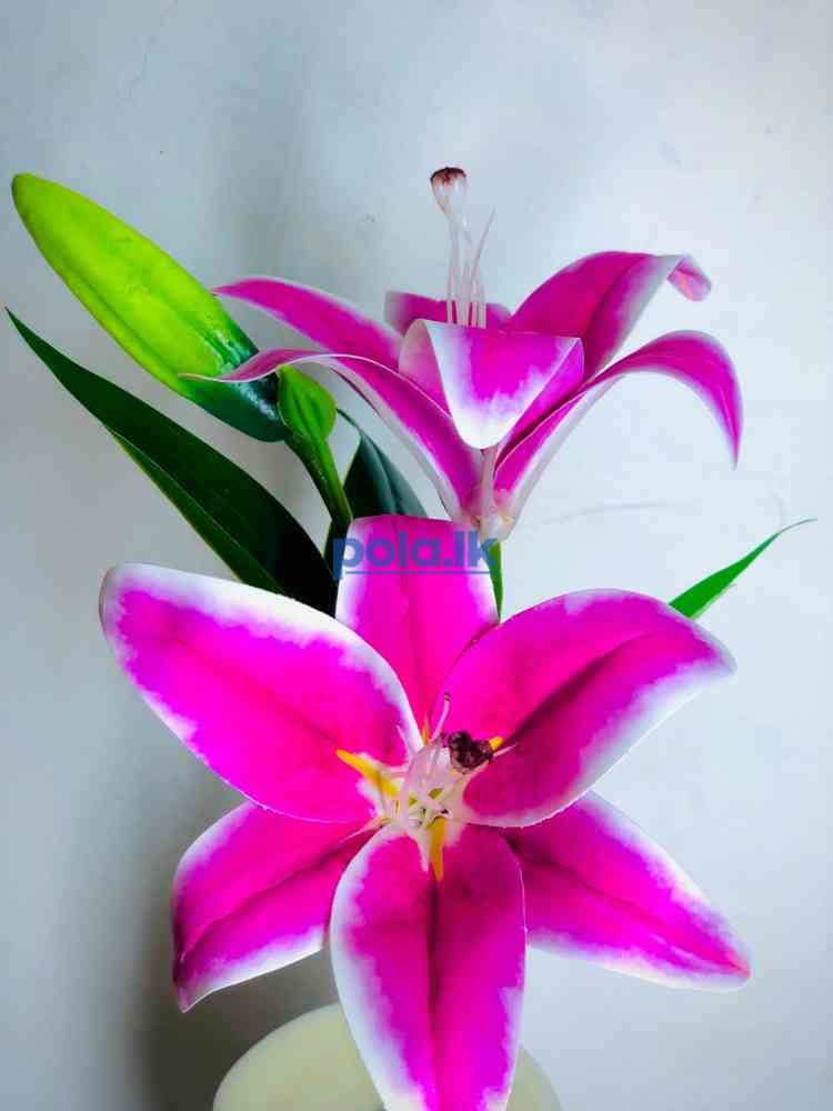 Beauty flowers - photo 3