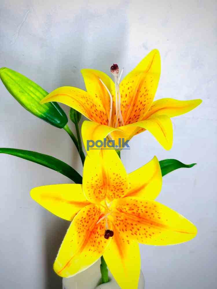 Beauty flowers - photo 2