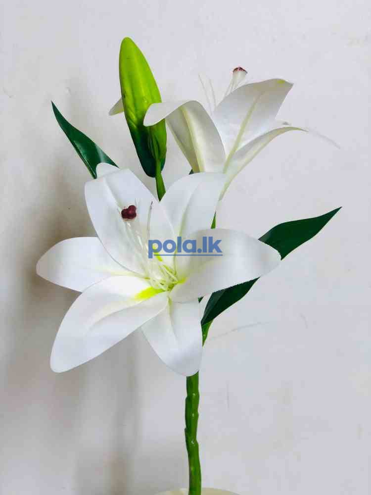 Beauty flowers - photo 5