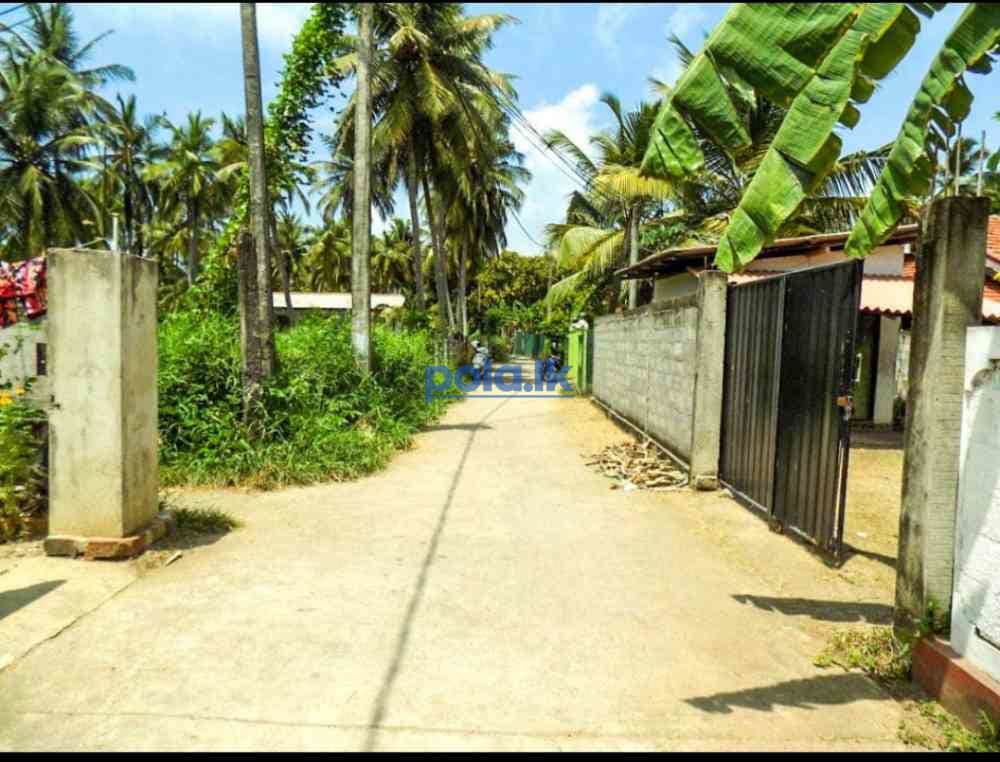 40 pearch land for sale in kapungoda - photo 7