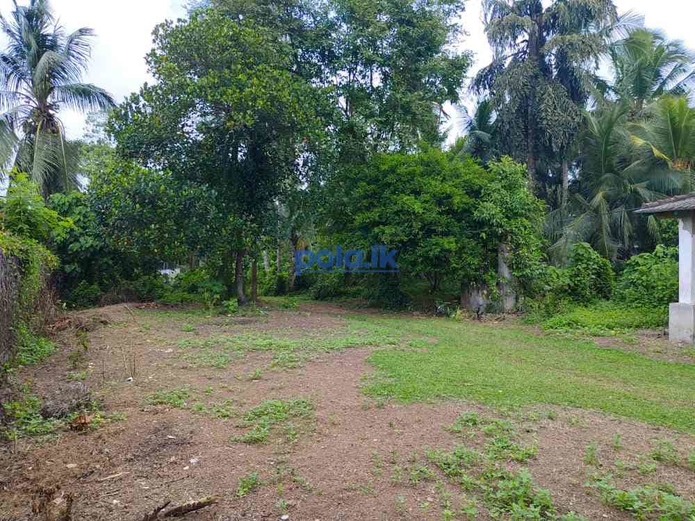 House with land for sale - photo 2