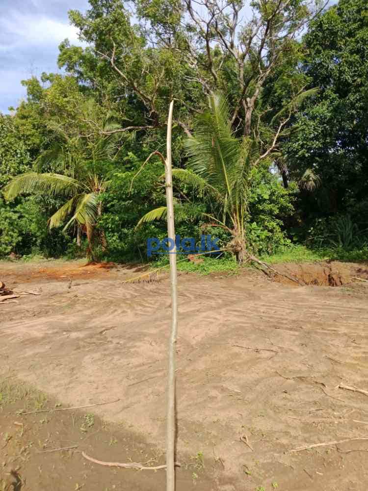 Land for sale in tangalle - photo 2
