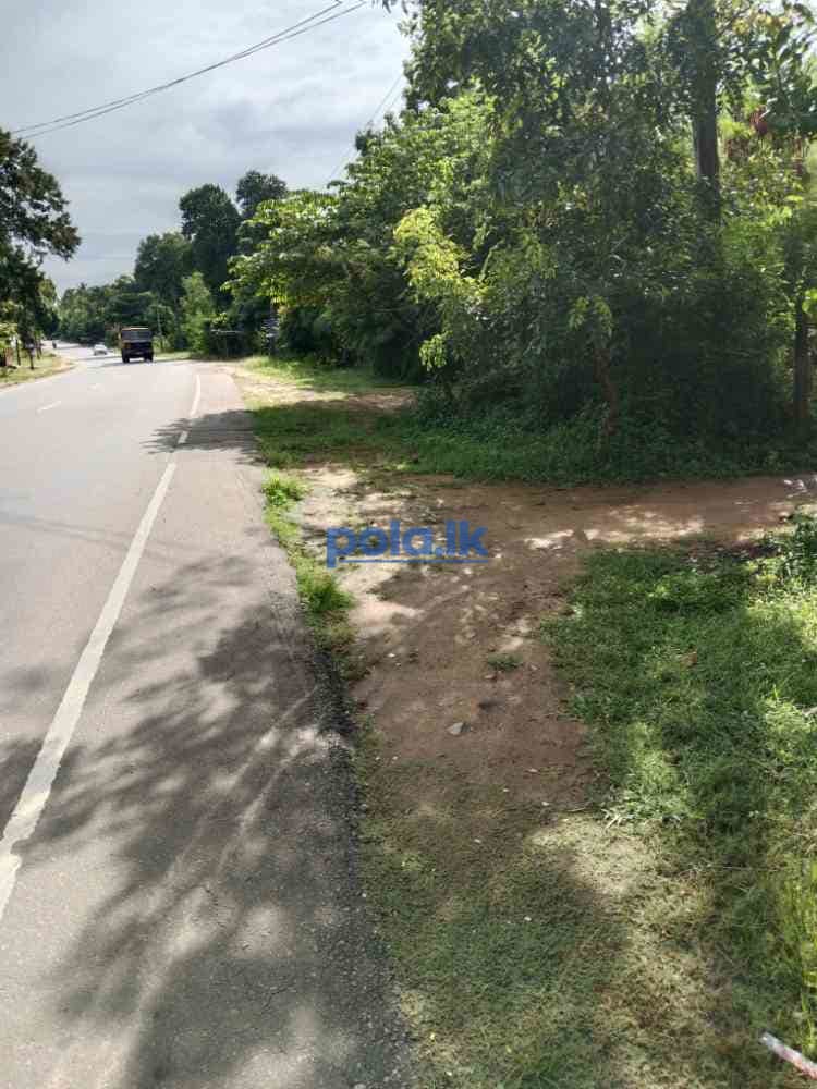 Land for sale in tangalle - photo 4