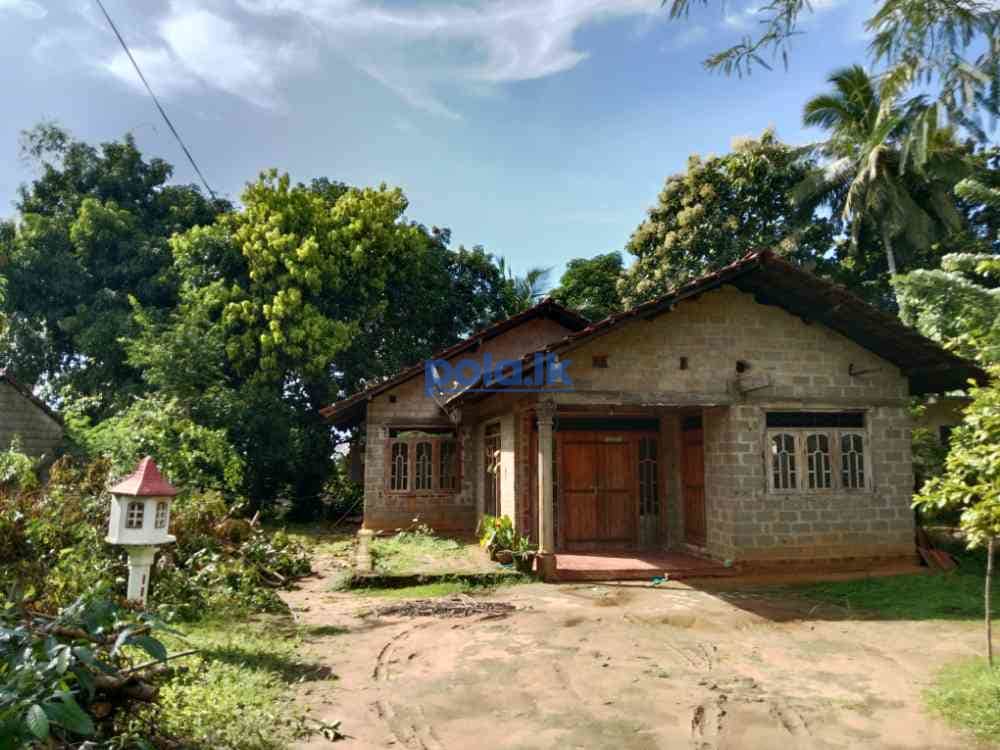 Land for sale in tangalle - photo 1