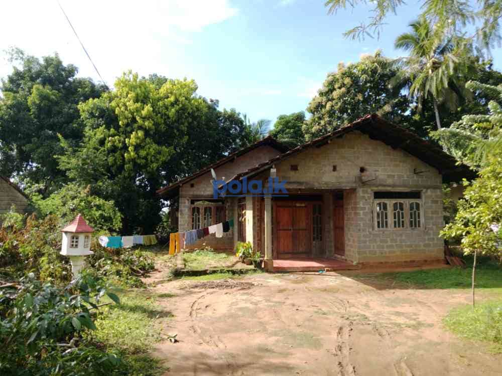 Land for sale in tangalle - photo 5