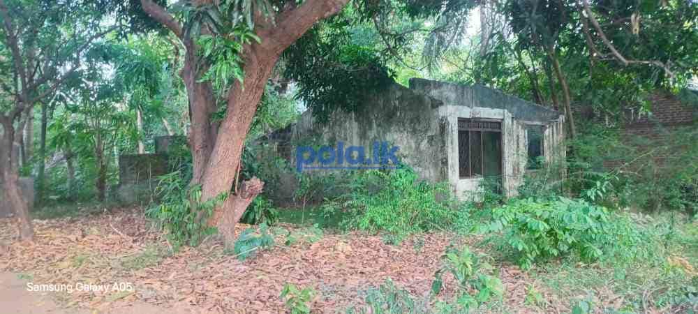 Land for sale in polonnaruwa - photo 2