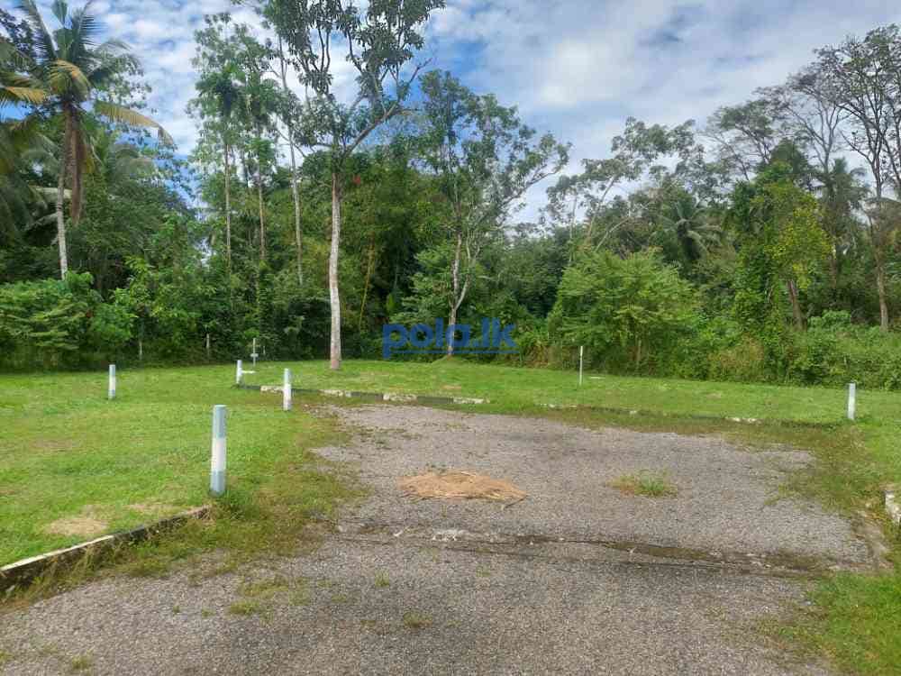 Land for sale in homagama - photo 1