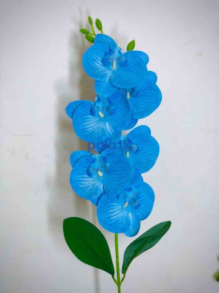 Beauty flowers - photo 2