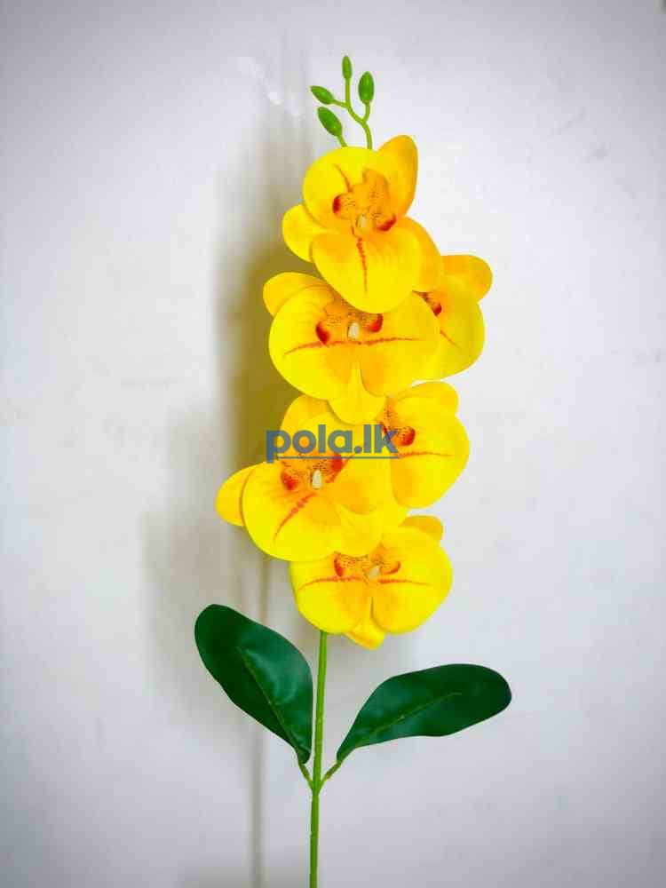 Beauty flowers - photo 8