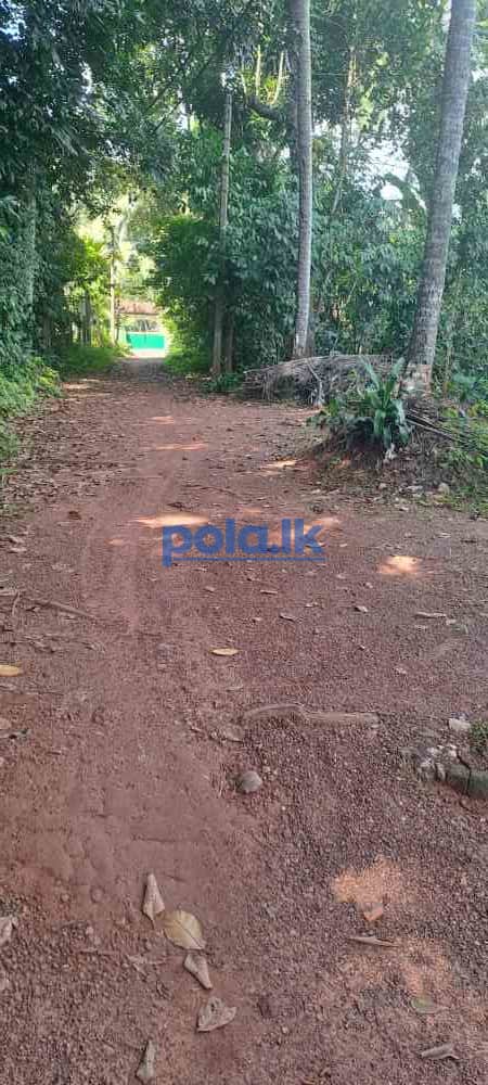 Prime 10 perch land for sale - photo 3