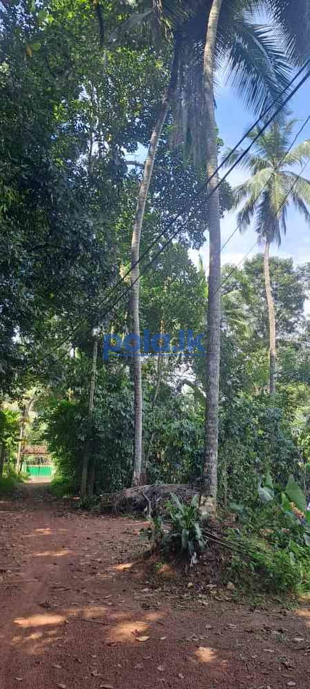 Prime 10 perch land for sale - photo 2