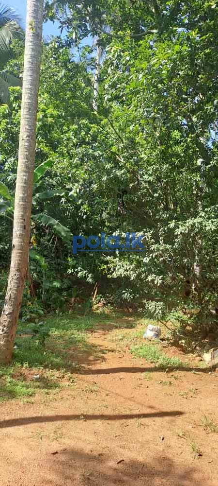 Prime 10 perch land for sale - photo 1